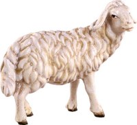 040 4351 Schaf seitlich schauend
