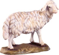 060 4141 Schaf seitlich schauend