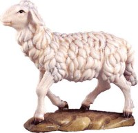 064 4145 Schaf gerade aus schauend
