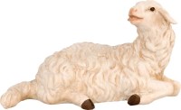 080 4116 Schaf liegend