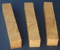 3er-setbirkewildwildgestockt-nr206