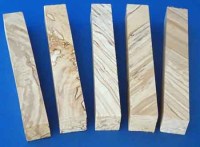 5er-setbirkegestockt-nr502