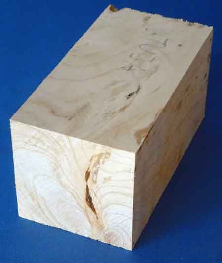 tujawurzelstock 112x59x59 nr.226bild2