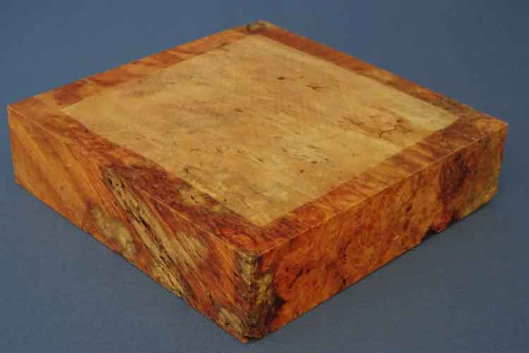 ahornmaser bild1