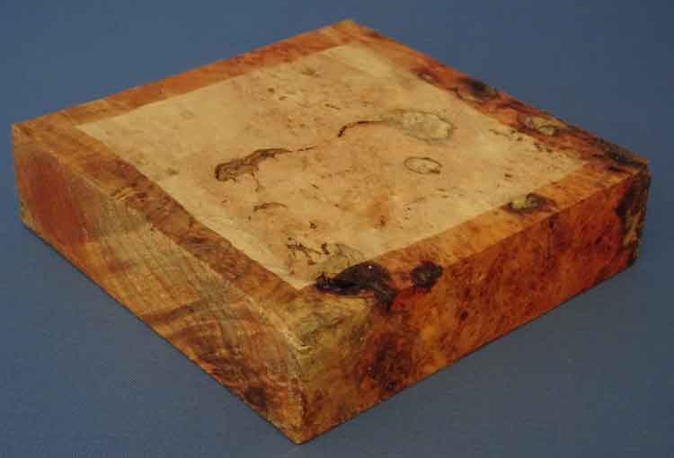 ahornmaser bild2