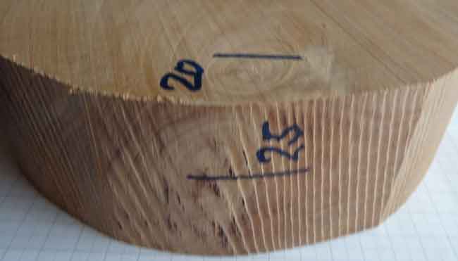 apfelholz durchmesser 200mmd60mm nr.22bild2