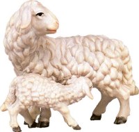 048 4358 Schaf mit Lamm