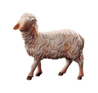074 21205-A Schaf stehend