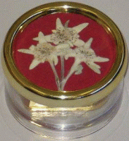 100-06-502 Trockenblumen Edelweiss Rot 18 Tonzähne