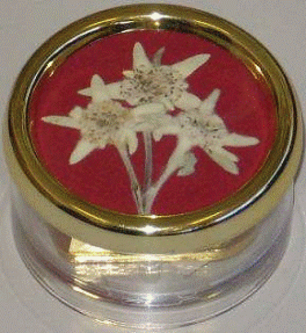 100-06-502 Trockenblumen Edelweiss Rot 18 Tonzähne