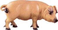 105 4388 Schwein