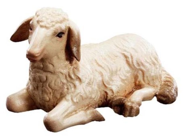 165 1680520 Ma liegendes Schaf