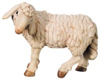 185 1680561 Ma stehendes Schaf