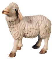 190 1680562 Ma stehendes Schaf