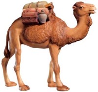 240 1680559 Ma Kamel mit Gepäck