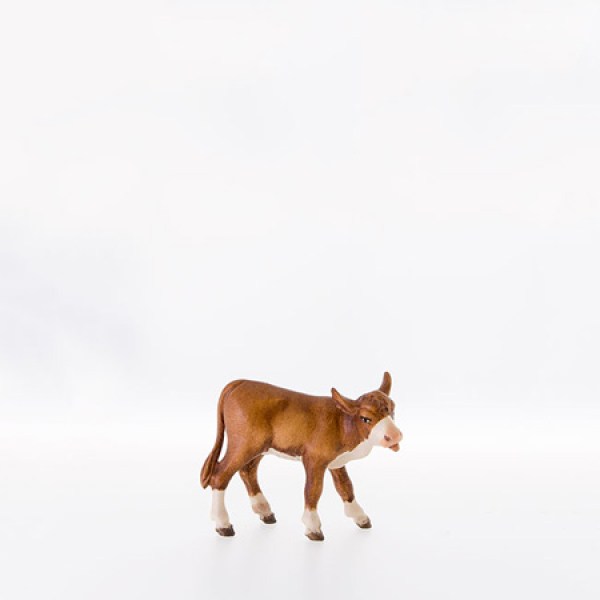 253 21998 leckendes Kalb