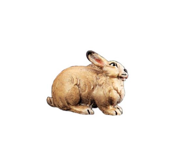 382 22151-A Hase