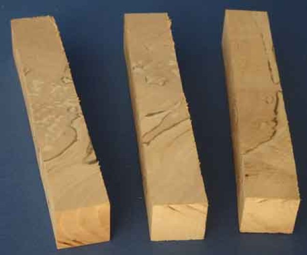 3er-setbirkewildwildgestockt-nr206