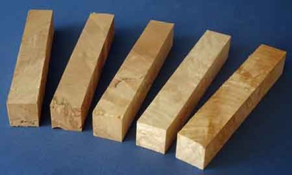 5er-setbirkewildleichtgestockt-nr211