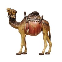 pemaekostner-kamel