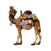 pemaekostner-kamel-mitgepaeck