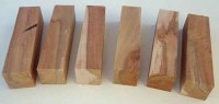 apfelholzkanteln-150x34x34mm