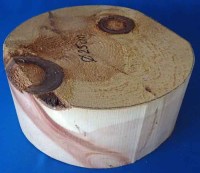 schalenholz-arve-nr80