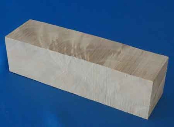 Birkenkantel-wild-nr81