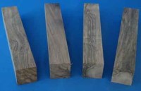 4stueck-europnussbaum-nr.500