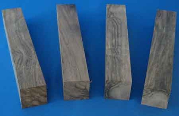 4stueck-europnussbaum-nr.500