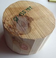nr800-arvenschalenholz